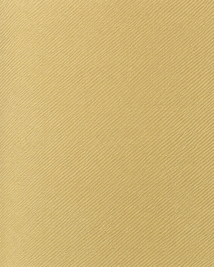 Närbild av enfärgad design på GUSTAV, bred slips i champagne
